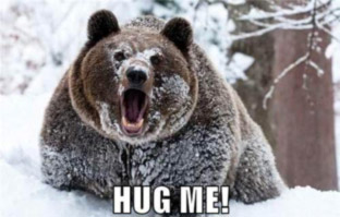 bear-hugs